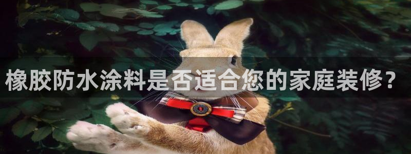 和记平台下载：橡胶防水涂料是否适合您的家庭装修？