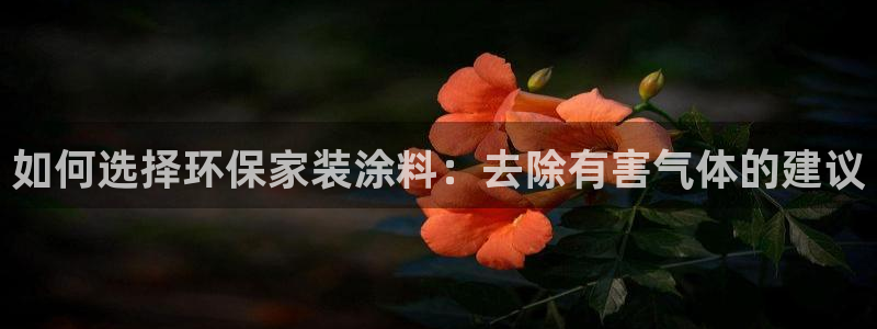 和记官网登陆：如何选择环保家装涂料：去除有害气体的建议