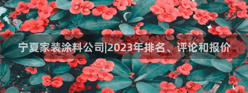 和记官网官方网站：宁夏家装涂料公司|2023年排名、评论和报