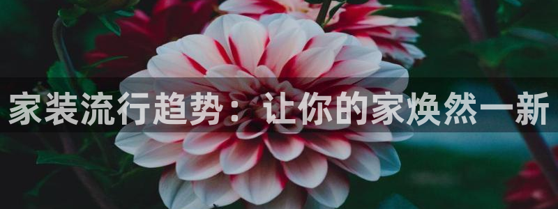 和记ag旗舰厅：家装流行趋势：让你的家焕然一新