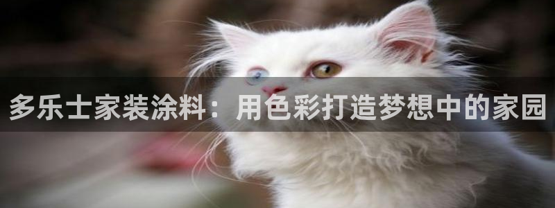 和记国际官网官网