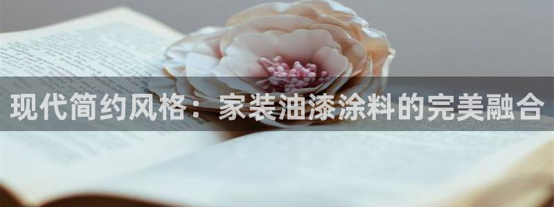 和记电业集团
